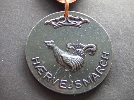 Haervejsmarch internationale wandelmarsJutland Denemarken